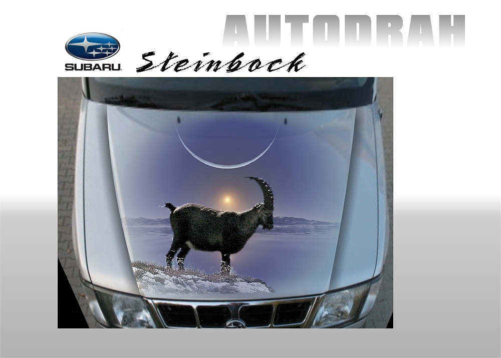 Klapa silnika, maska samochodu SUBARU Forester "Steinbock" AUTODRAH